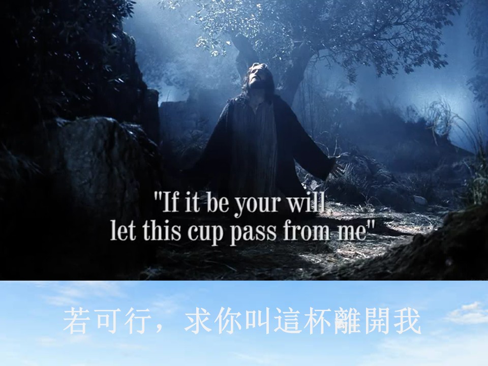 第二堂其他图片